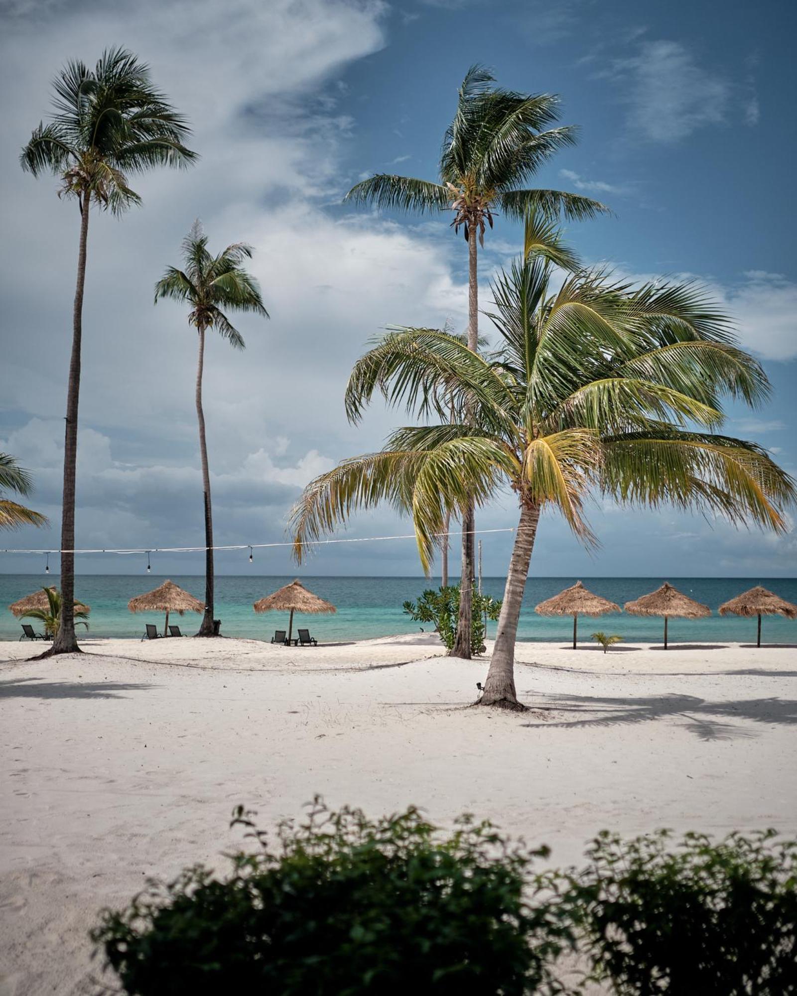 高龙美梦酒店 Pagoda Beach 外观 照片